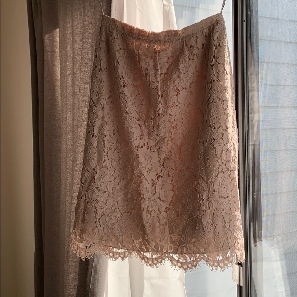 Blush Lace Skirt